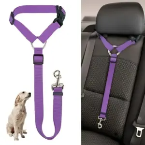 cinto de segurança para cães e gatos