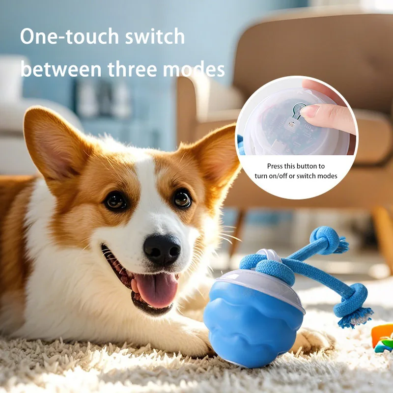 Bola Interativa para Cães Recarregável USB com Movimento Automático - Image 3
