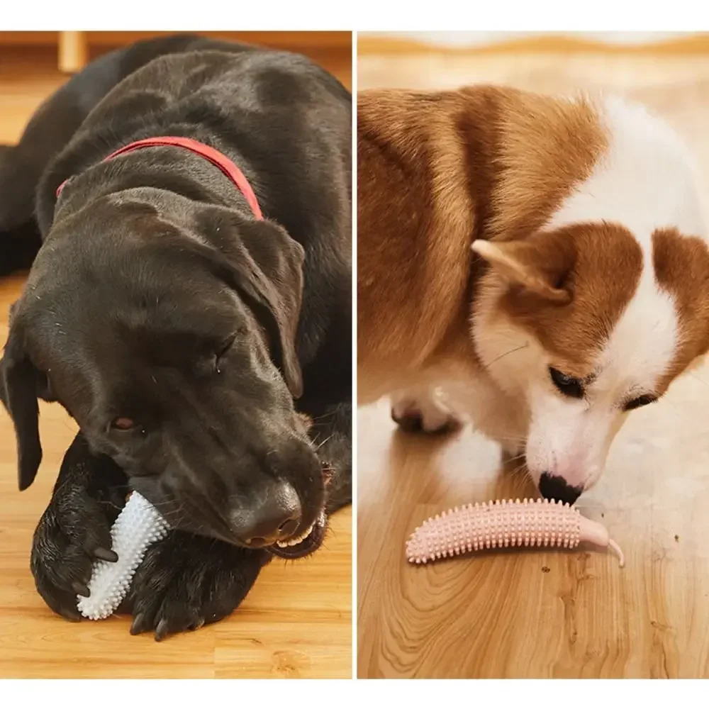 Brinquedo para Cães TPE em Forma de Pepino, Ajuda na Limpeza dos Dentes - Imagem 2