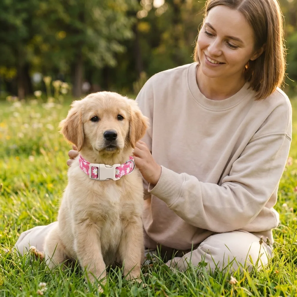 Coleira de Algodão para Cães com Flor Vermelha Ajustável - Imagem 2