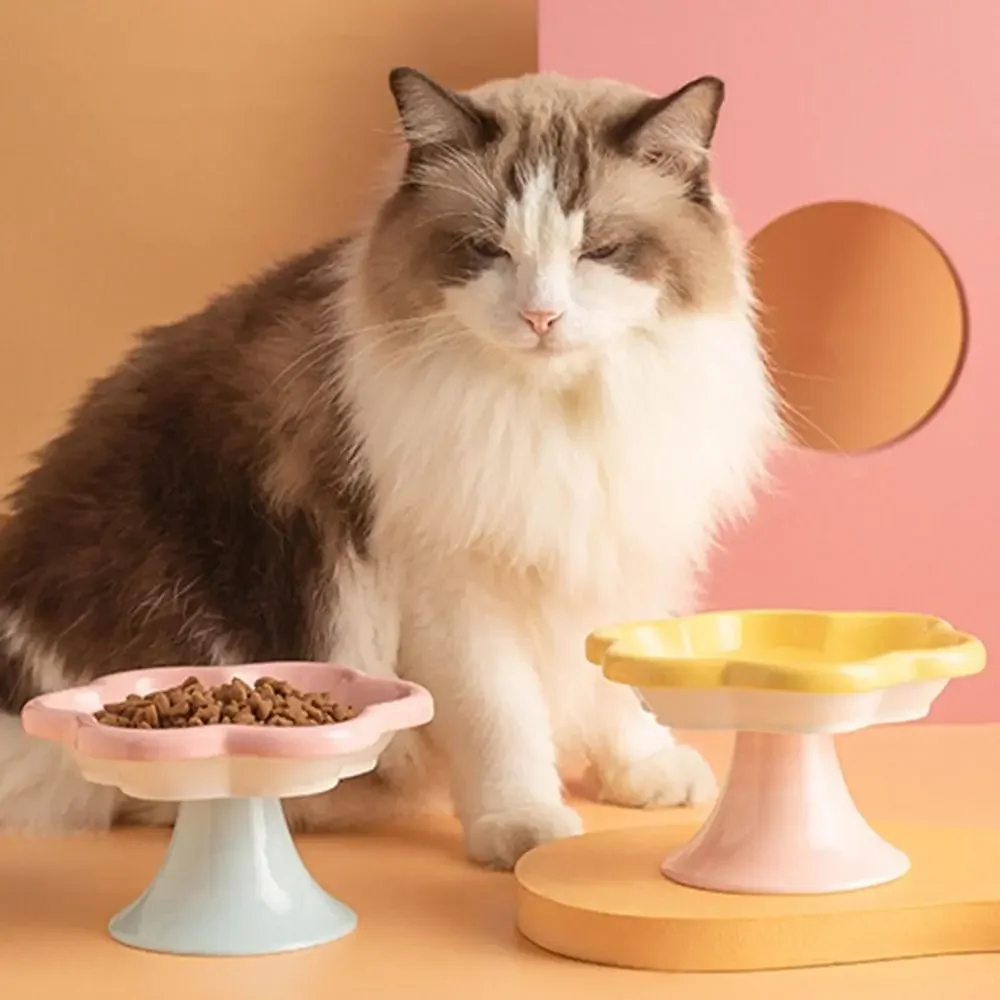 Tigela de Cerâmica para Gatos de 150 ml Antiderrapante e Elevada - Image 5