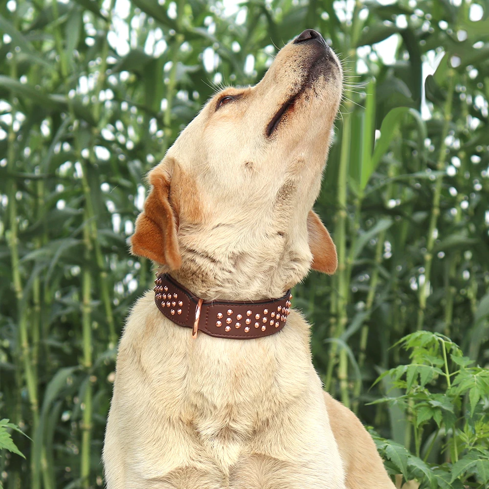 Coleira para Cães de Couro com Rebites Ajustável para Cães Médios e Grandes - Image 5