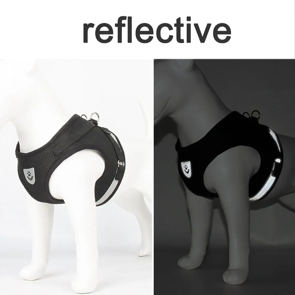 Coleira Peitoral para Gatos e Cães Pequenos Ajustável com Faixa Refletiva - Imagem 5
