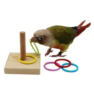 brinquedo de treinamento para papagaios grandes