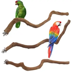 poleiro natural para pássaros