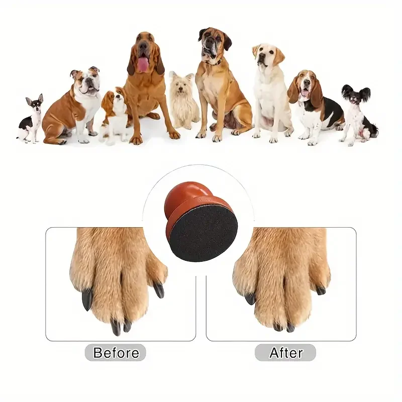 Lixa Manual para Cães em Madeira com Papel Lixado Removível - Imagem 3