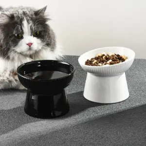 tigela de cerâmica para gatos com borda inclinada