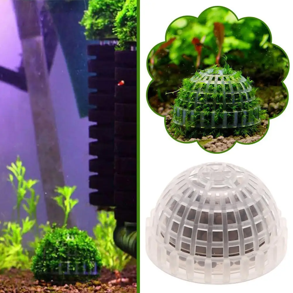 Suporte para Musgo de Aquário de Plástico Transparente 5x3 cm para Tanque de Peixes - Imagem 3