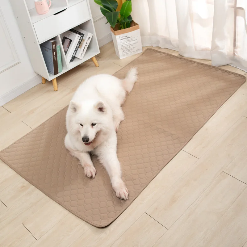 Tapete Absorvente para Cães Lavável Reutilizável com Fundo Antiderrapante - Imagem 4