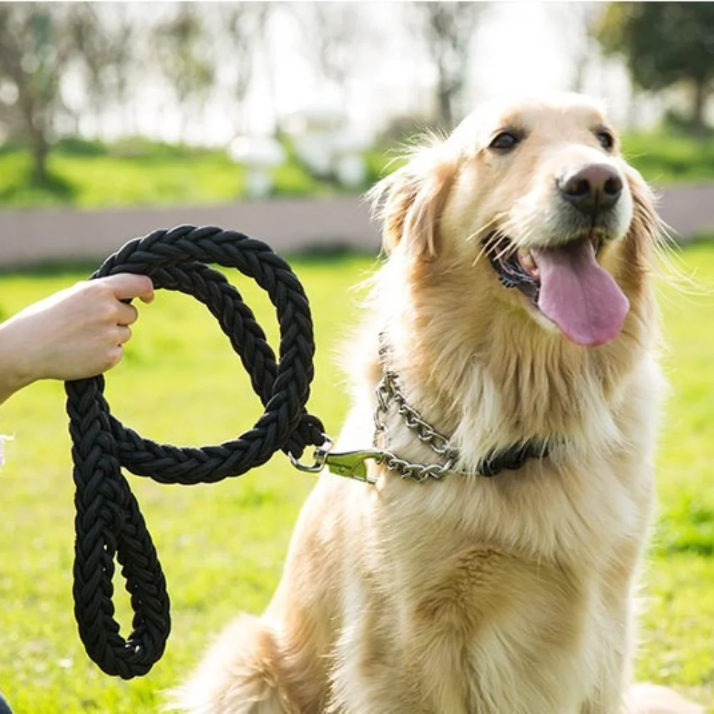 Coleira para Cães Raças Médias/Grandes Ajustável e Refletiva - Image 4