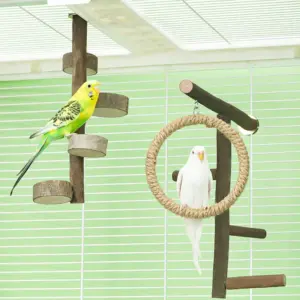 brinquedo balanço escada para pássaros