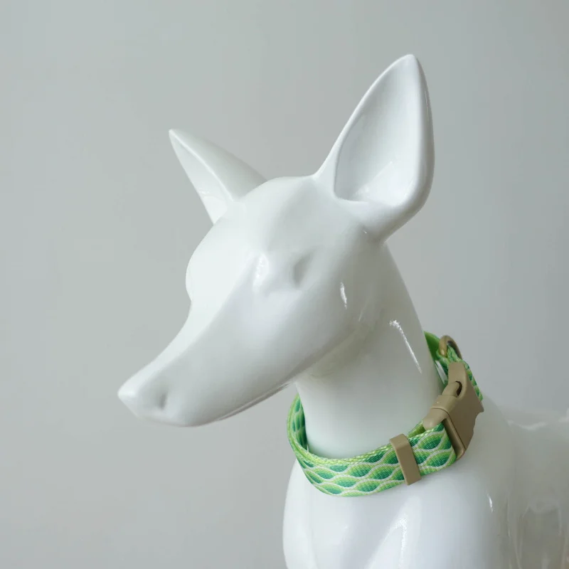 Coleira para Cães de Nylon Ajustável com Gravação Personalizada - Image 4