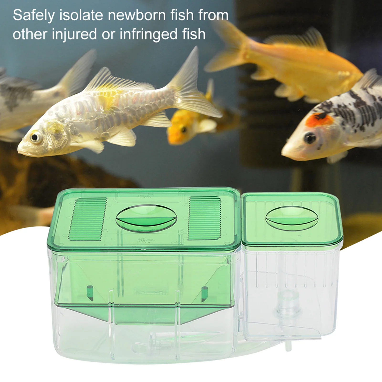 Incubadora de Aquário para Peixes Pequenos Dupla Camada - Imagem 6