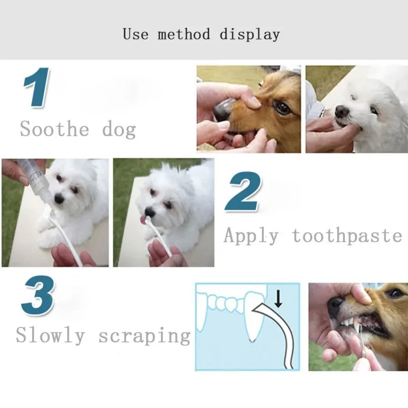 Kit Limpeza Dental Cães Aço Inoxidável Ponta Dupla - Imagem 5