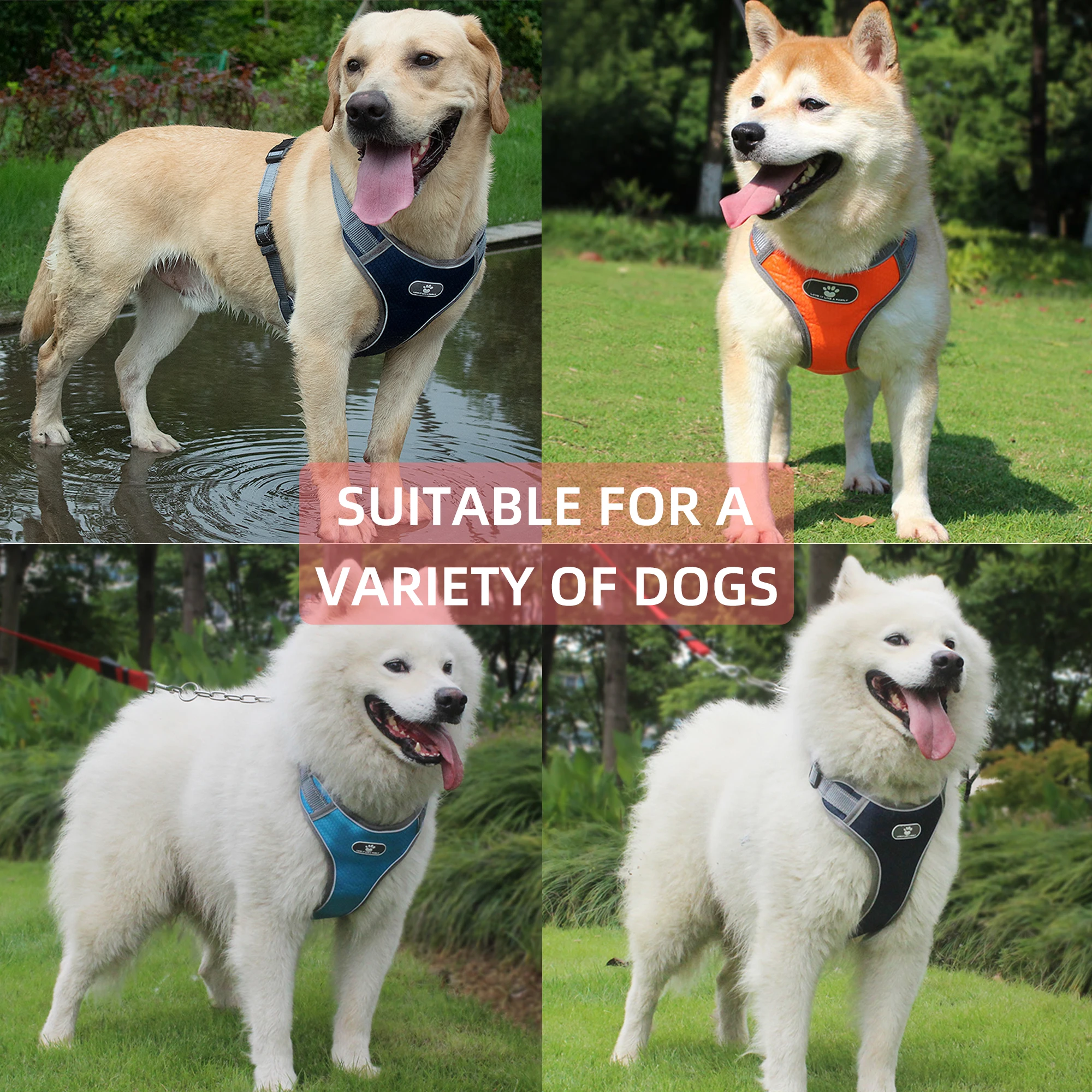 Colete para Cães Refletivo Oxford para Passeio - Imagem 5
