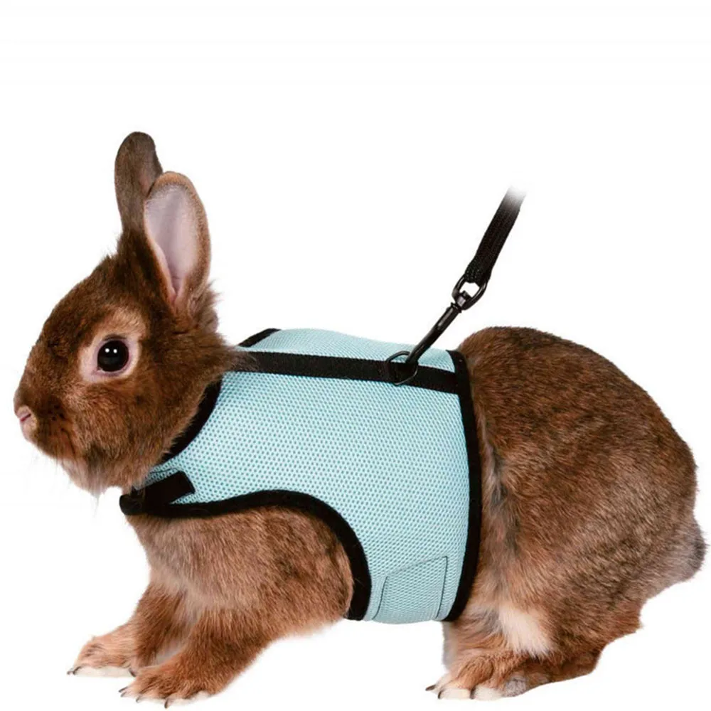 Coleira Peitoral para Coelhos de Malha com Guia Ajustável - Image 5