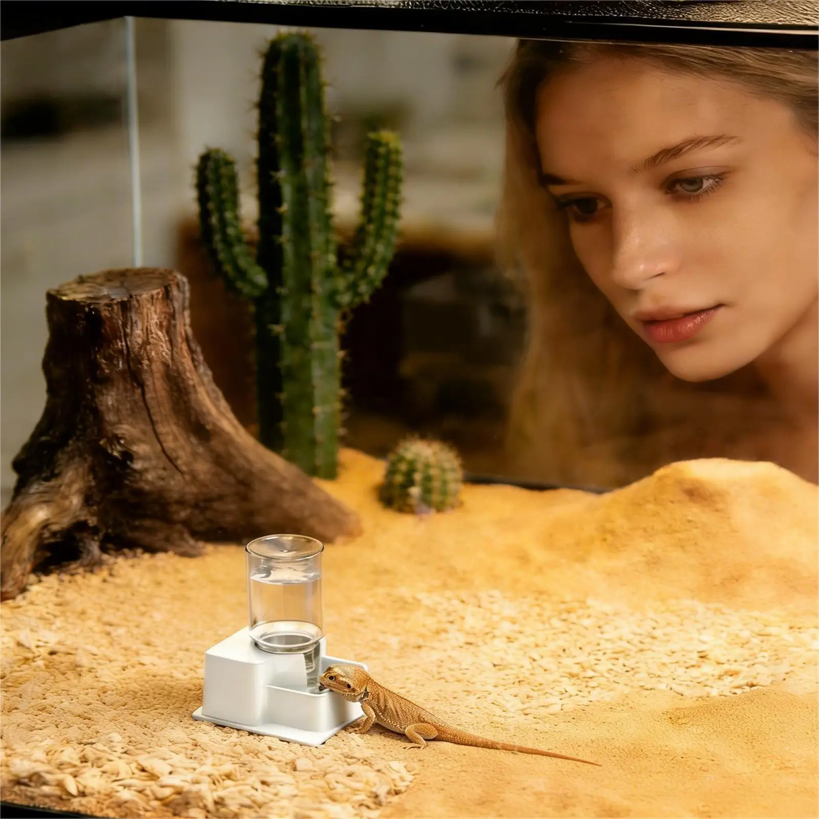 Alimentador Automático para Répteis com Tigela Destacável - Image 3