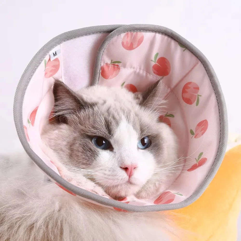 coleira de recuperação para gatos ajustável