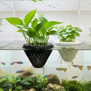 suporte flutuante para plantas de aquário