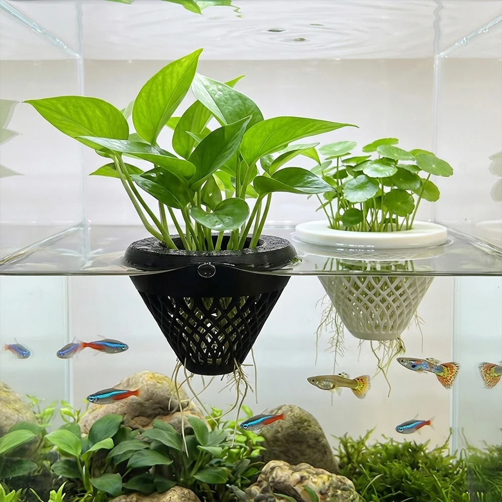 suporte flutuante para plantas de aquário