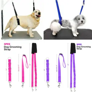 cinto de tração para cães