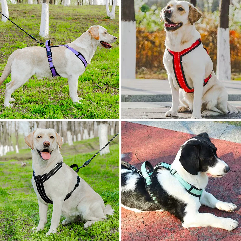 Colete para Cães Refletivo com Alça de Controle Tamanhos P a XL - Imagem 6