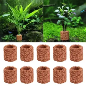 anel de cerâmica para plantas de aquário
