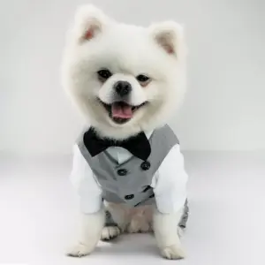 terno smoking para cães de algodão