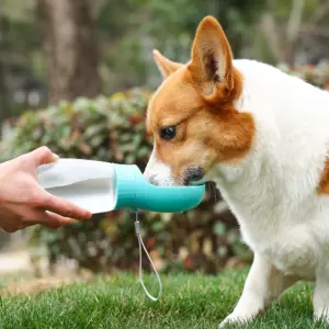 garrafa de água portátil para cães e gatos