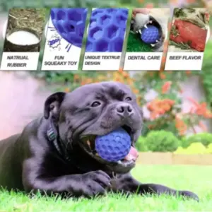bola de borracha para cães limpeza dental