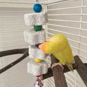 brinquedo molar para pássaros