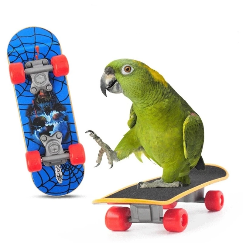 Brinquedos para Pássaros Kit com 4 Peças Plástico e Metal - Imagem 5
