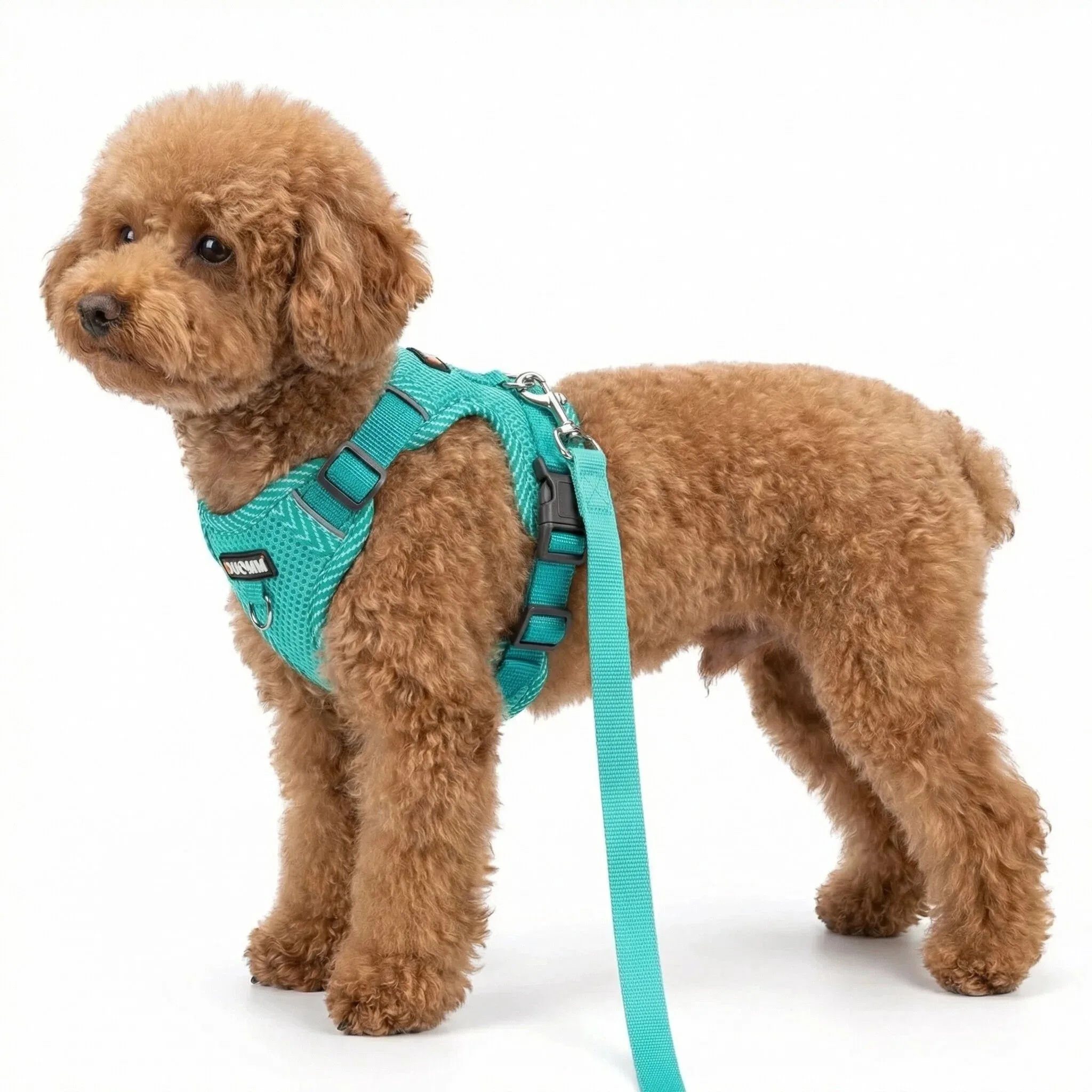coleira e peitoral refletivo para cães pequenos