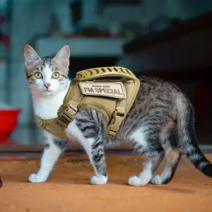 coleira peitoral ajustável para gatos