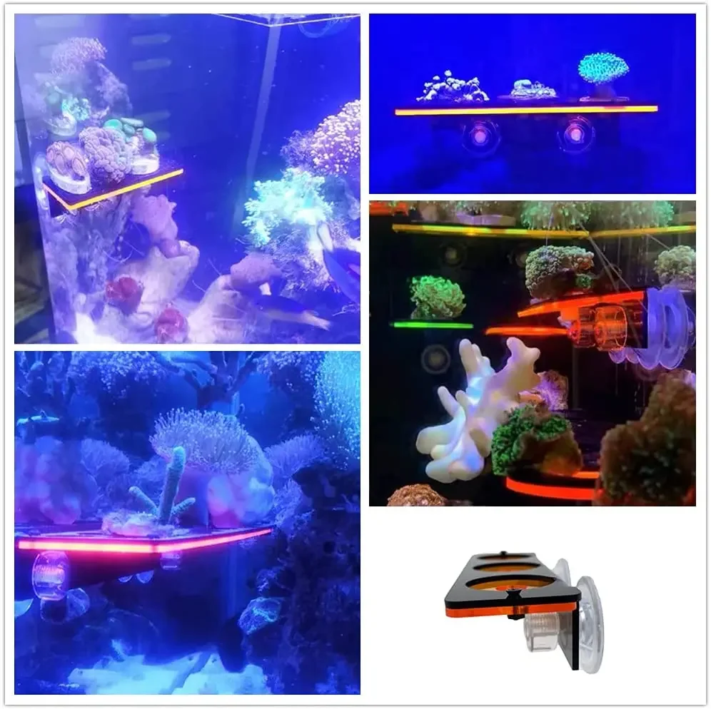 Suporte de Frag Coral para Aquário de Acrílico com Ventosa - Image 3