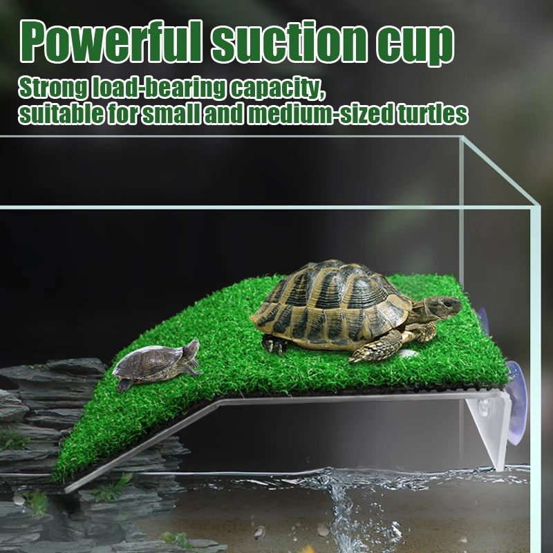 Plataforma Flutuante para Tartarugas de Acrílico com Ventosas - Imagem 3
