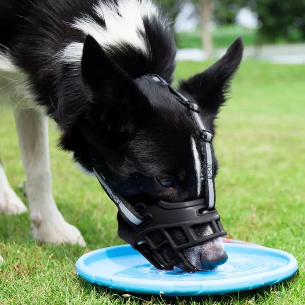 Focinheira Ajustável para Cães de Plástico com Tira Reflexiva - Imagem 2