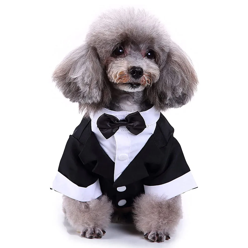 Roupa Social Pet para Cães e Gatos com Gravata Borboleta - Imagem 2