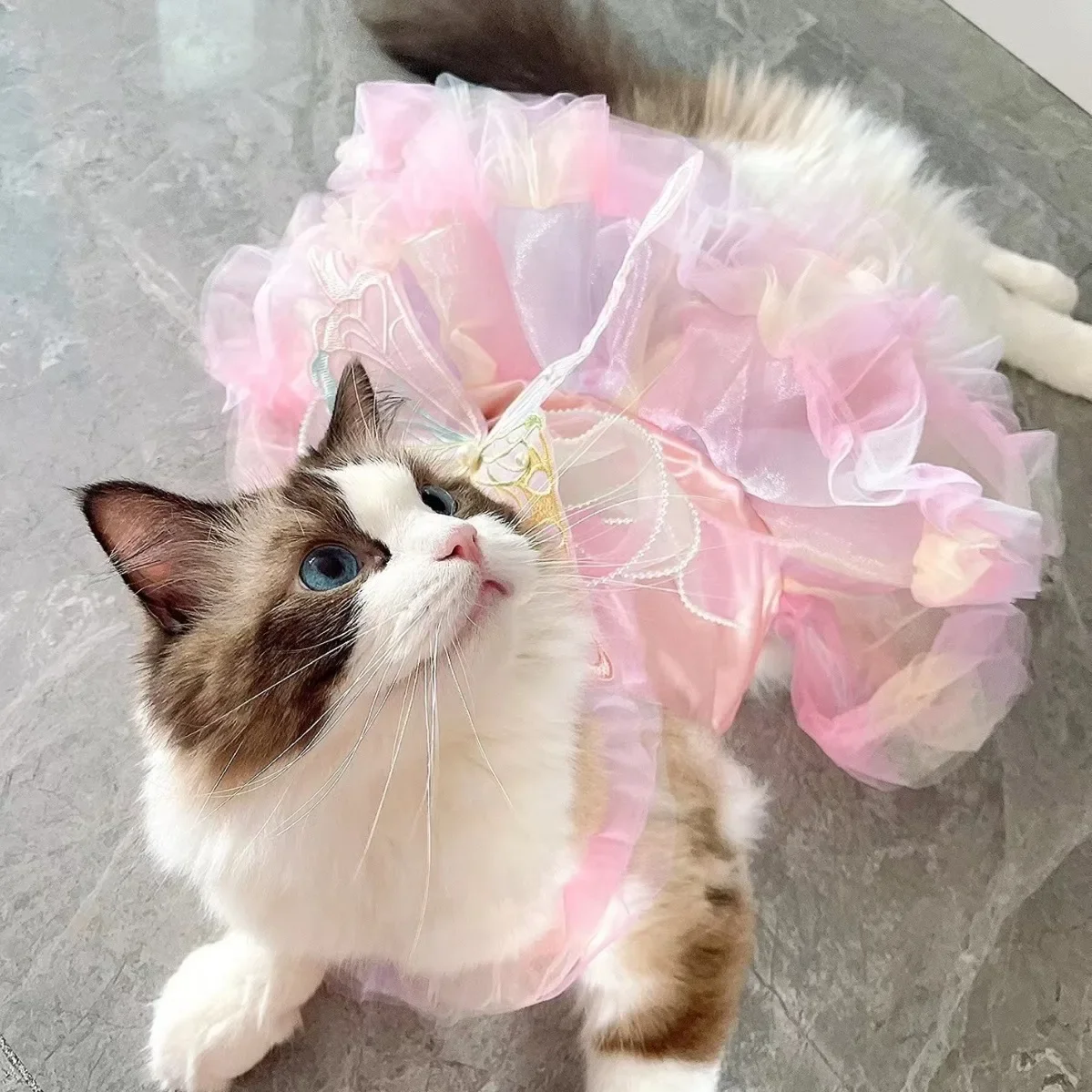 Vestido de Princesa para Cães e Gatos de Renda Listrada - Imagem 4