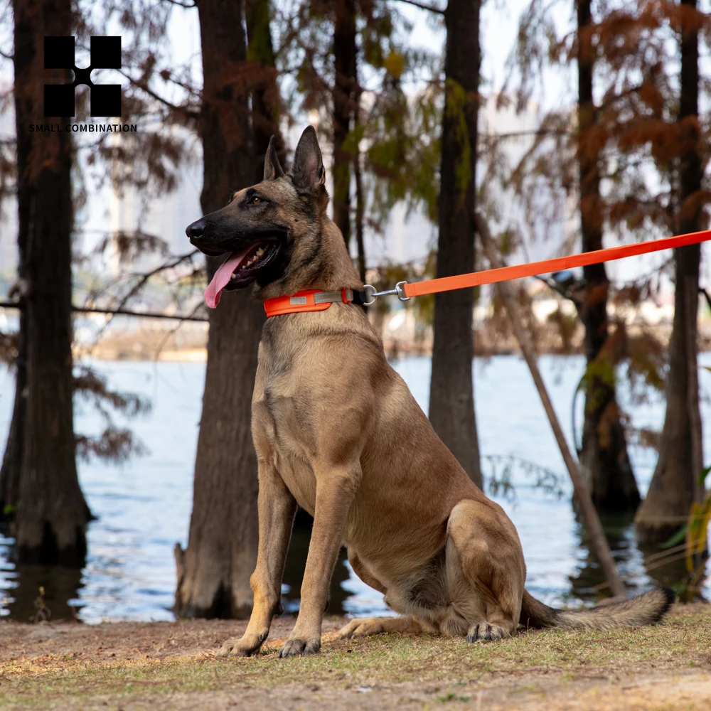 Coleira para Cães com AirTag Ajustável de Nylon Refletiva - Imagem 6