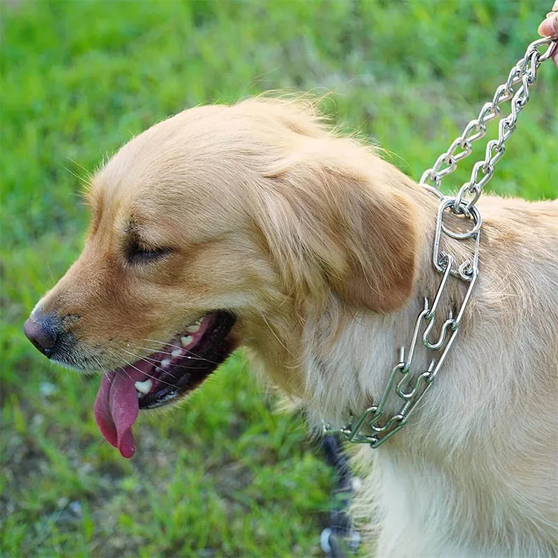 Coleira de Treinamento para Cães de Metal com Pontas de Borracha 60 cm - Imagem 3