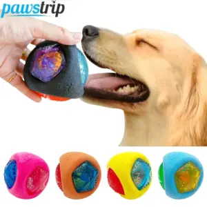 bola brilhante para cães