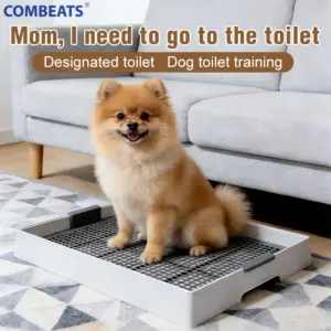 bandeja sanitária plana para cães