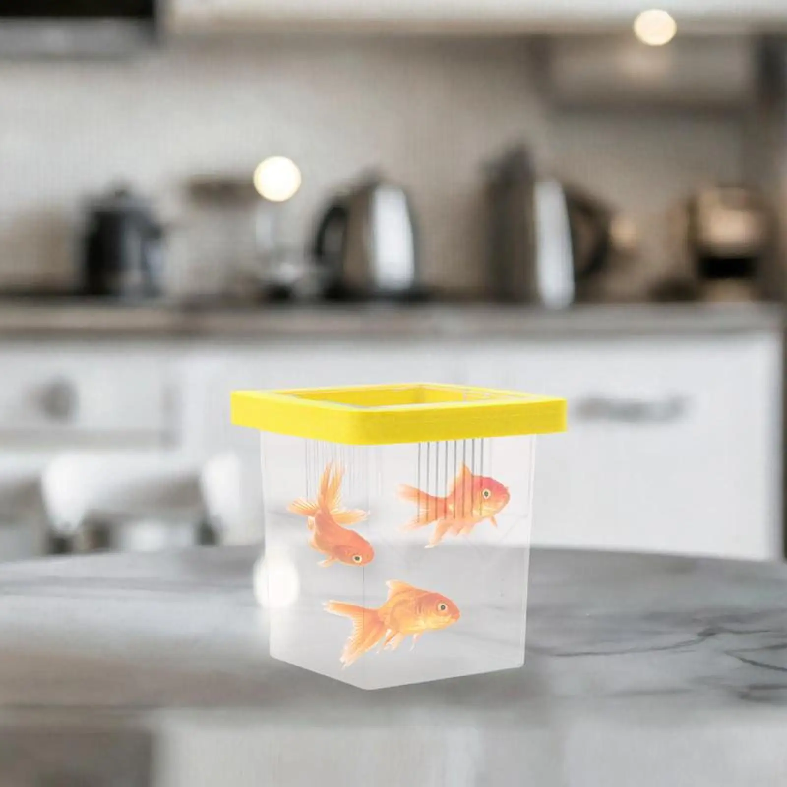 Caixa de Isolamento Flutuante para Aquário com Ventosa 8,6x8,6x11 cm - Imagem 2