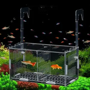 aquário caixa de criação de peixes