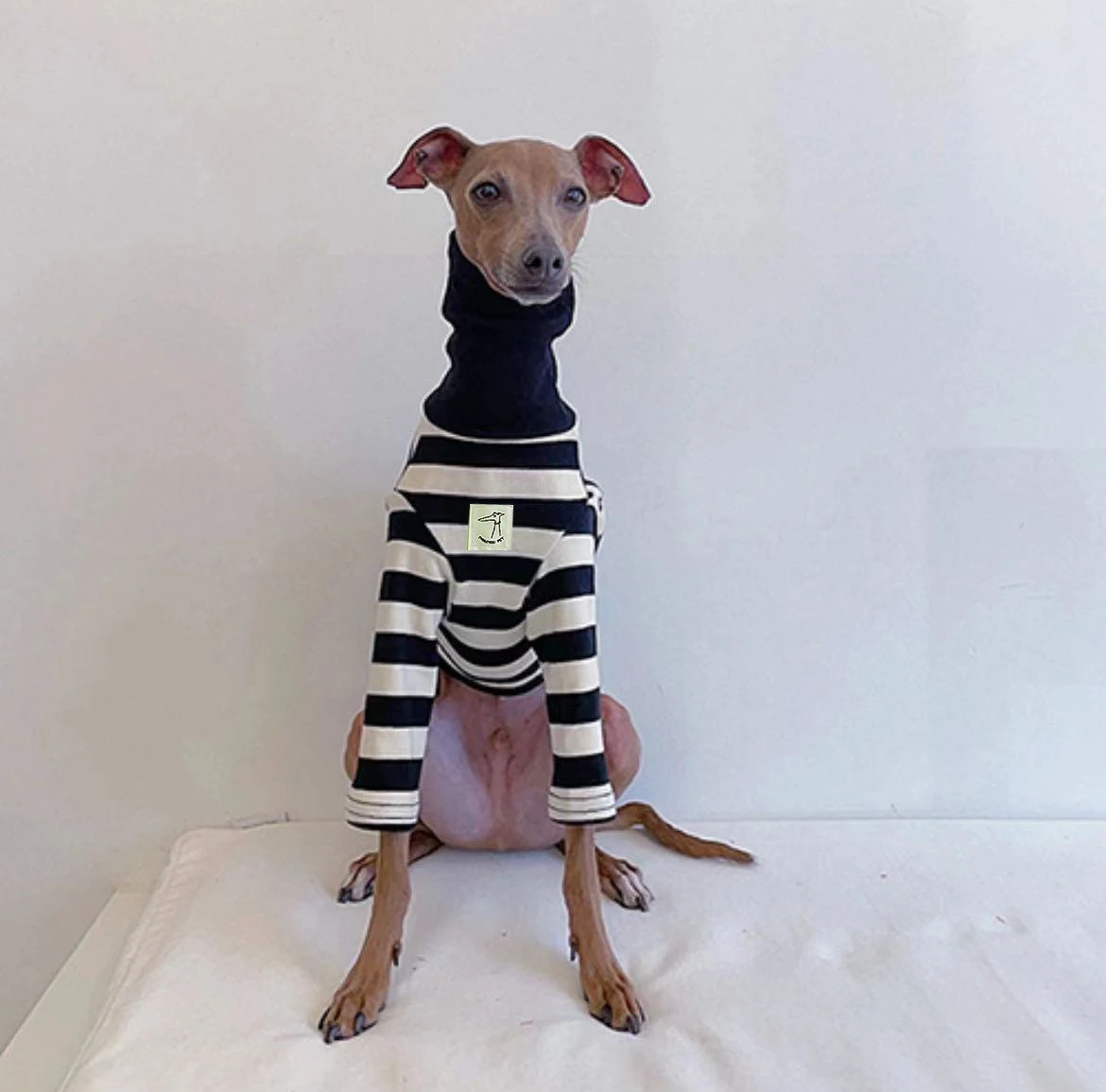 camisa listrada para cães e gatos