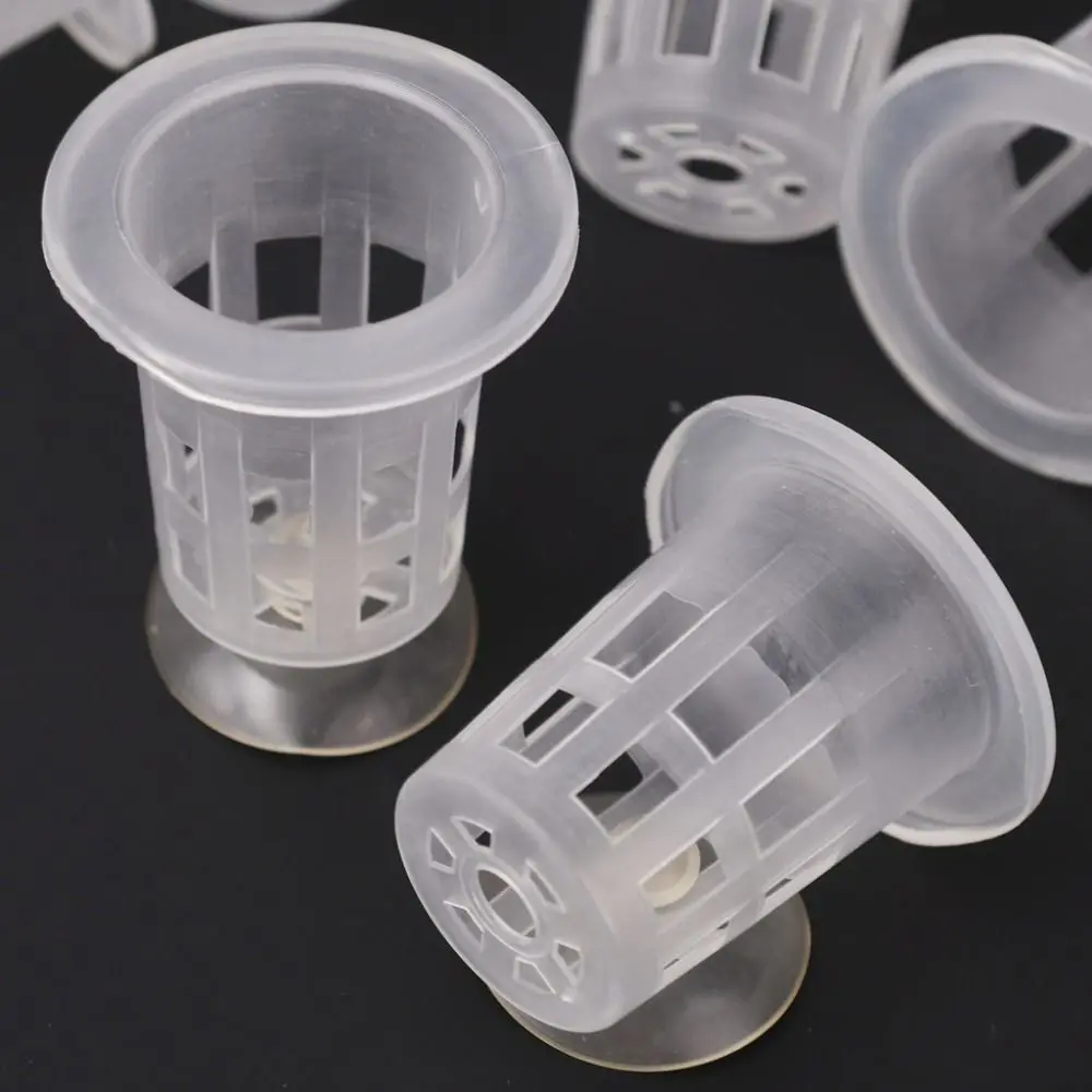 Vaso Hidropônico para Aquário Transparente com Base de Sucção (10 Peças) - Imagem 2