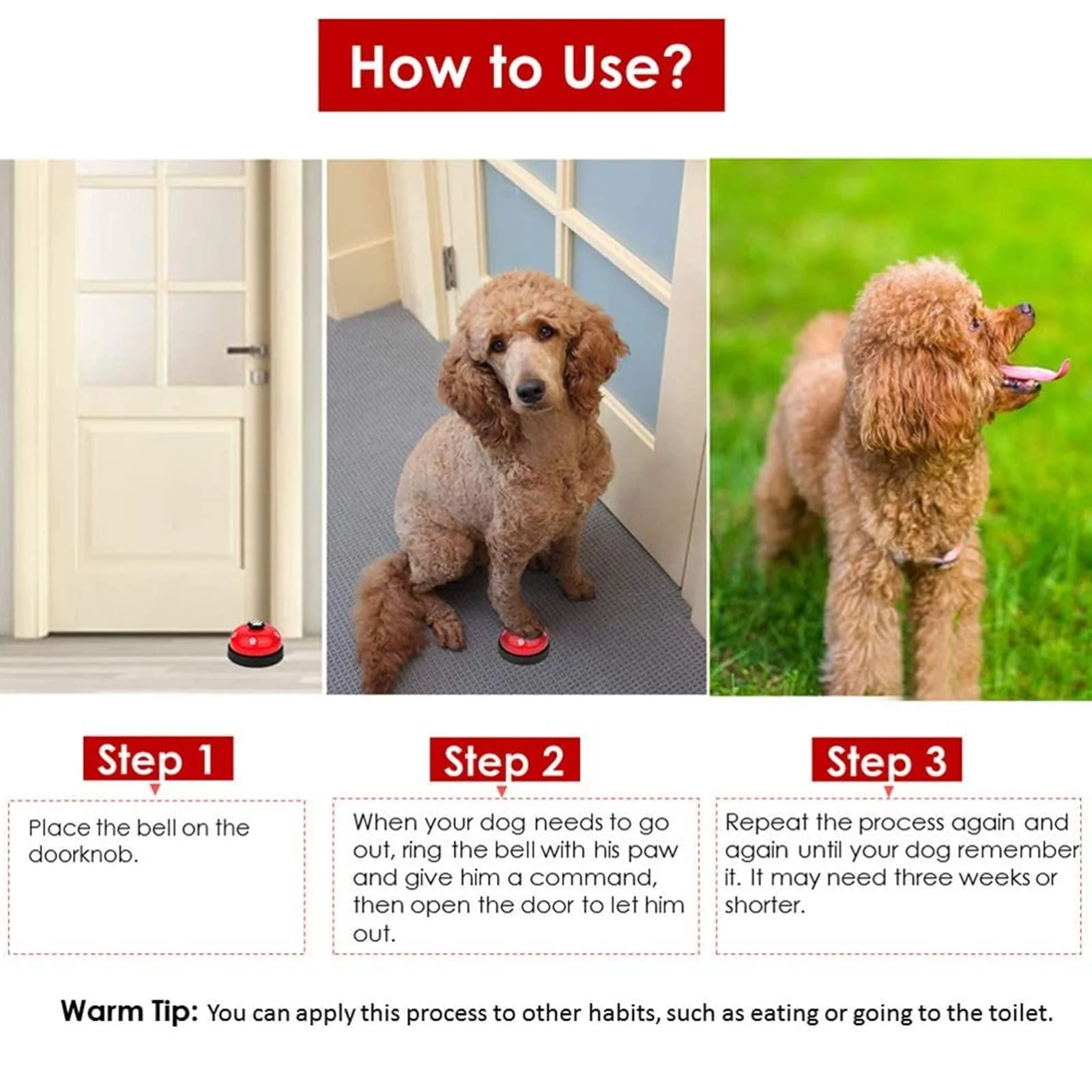 Campainha para Cães com Base Antiderrapante para Treinamento - Imagem 5
