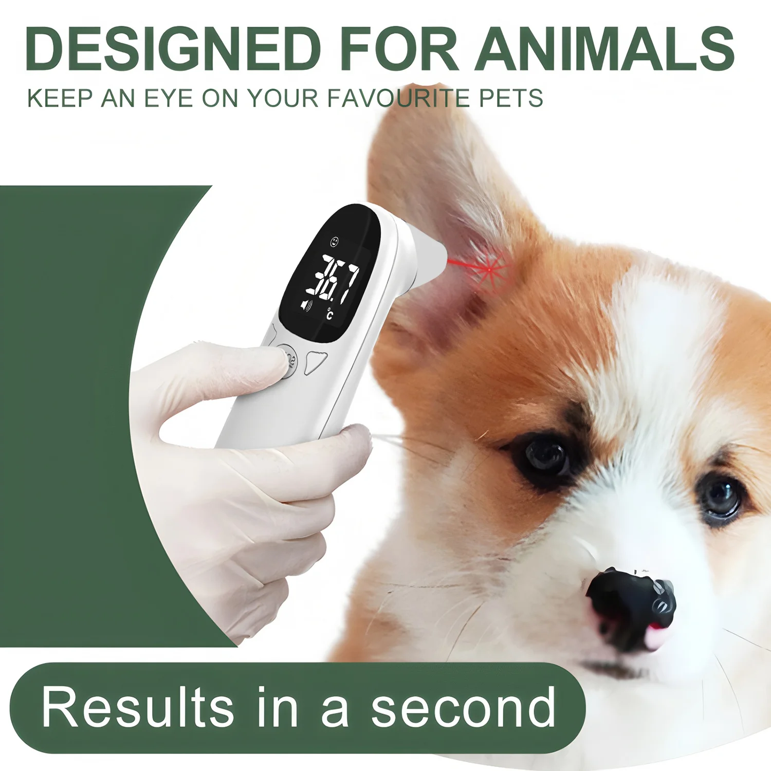Termômetro Digital para Cães e Gatos Medição Sem Contato - Imagem 2