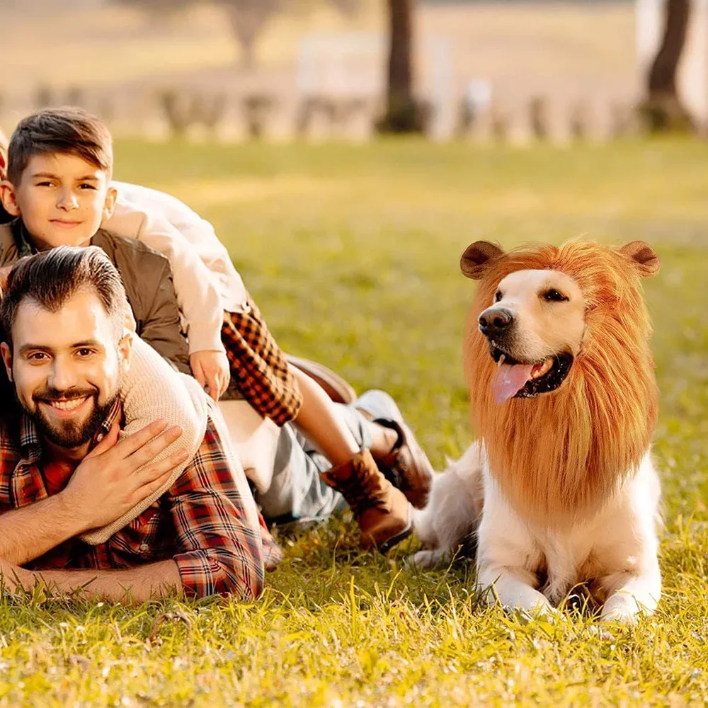 Peruca Juba de Leão para Cães Médios e Grandes com Orelha - Imagem 5